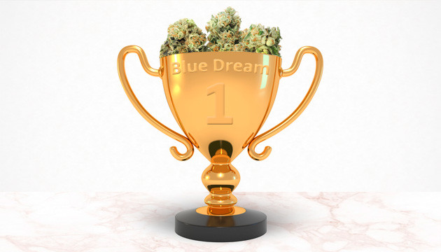 Humboldt Seeds reviews
