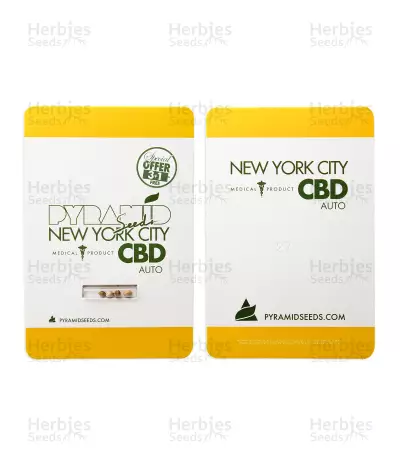 Auto New York City CBD feminized seeds